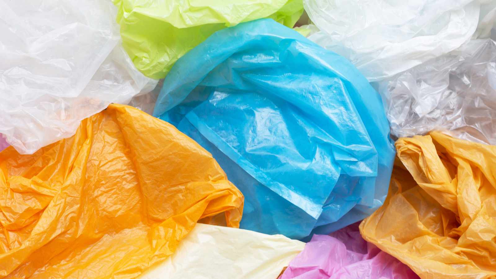 The Plastic Bag of Plastic Bags