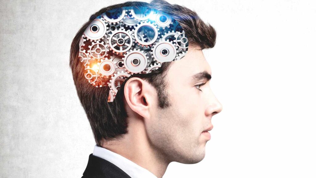 Everyday Behaviors Linked to a Higher IQ