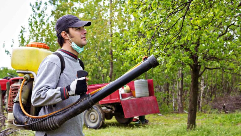 The Hidden Dangers of Leaf Blowers and Smarter Alternatives You Need to Know