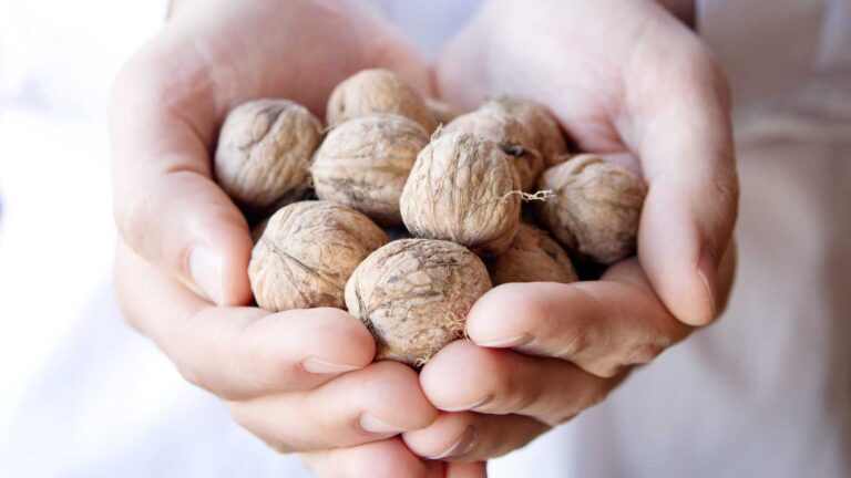 Eat these 3 powerhouse foods to crush liver fat and lower cholesterol