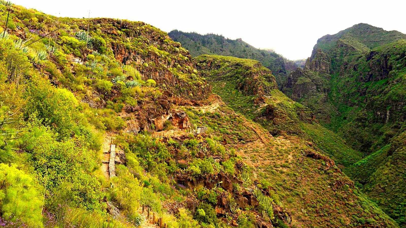 Barranco del Infierno, Tenerife, Spain