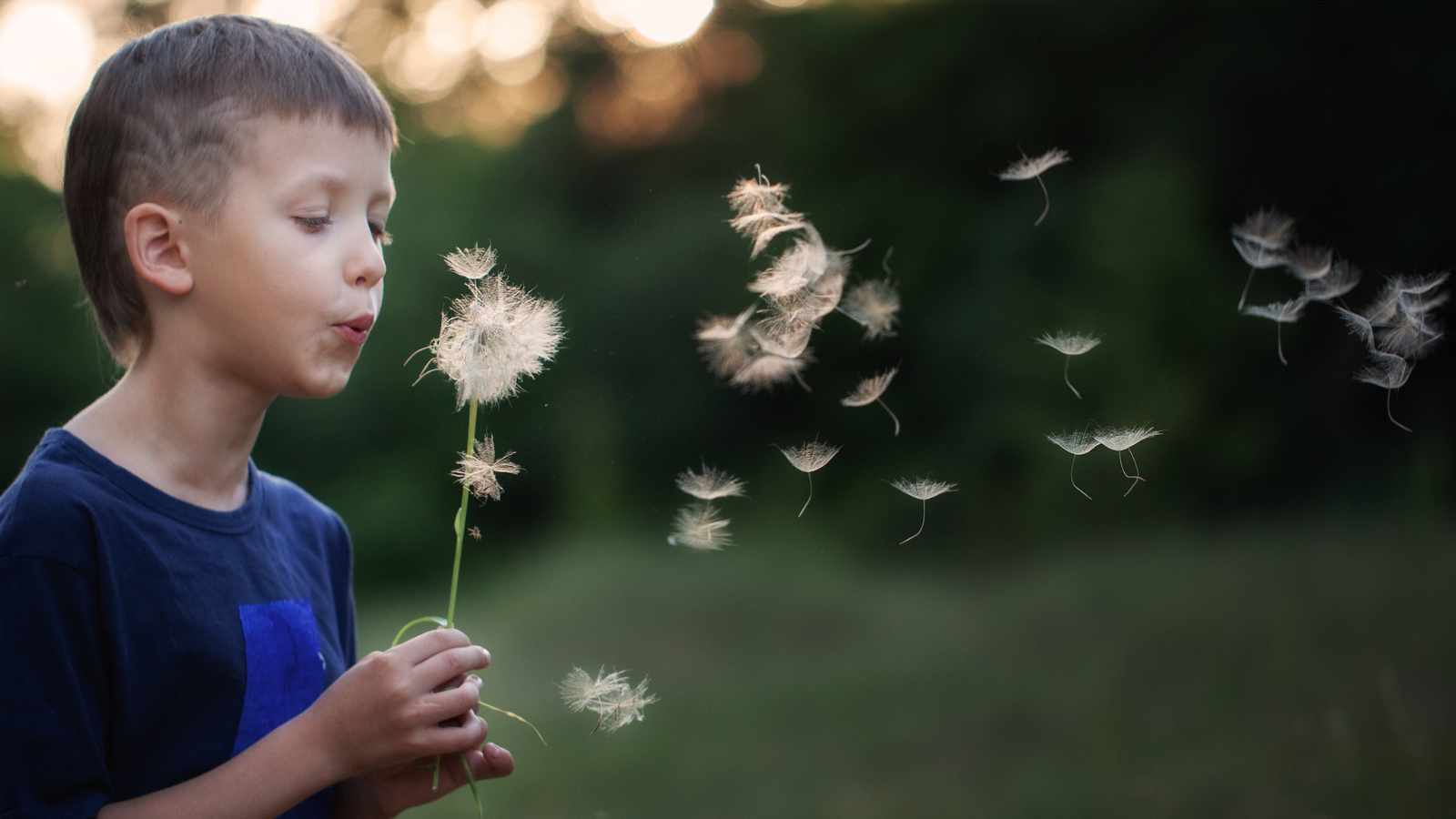 Blowing Dandelions and Making a Wish
