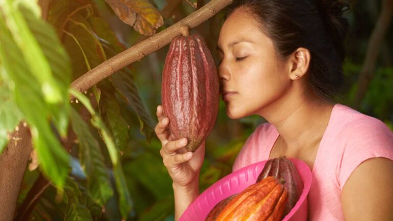 Stock up now: 7 favorite foods facing extinction by 2026