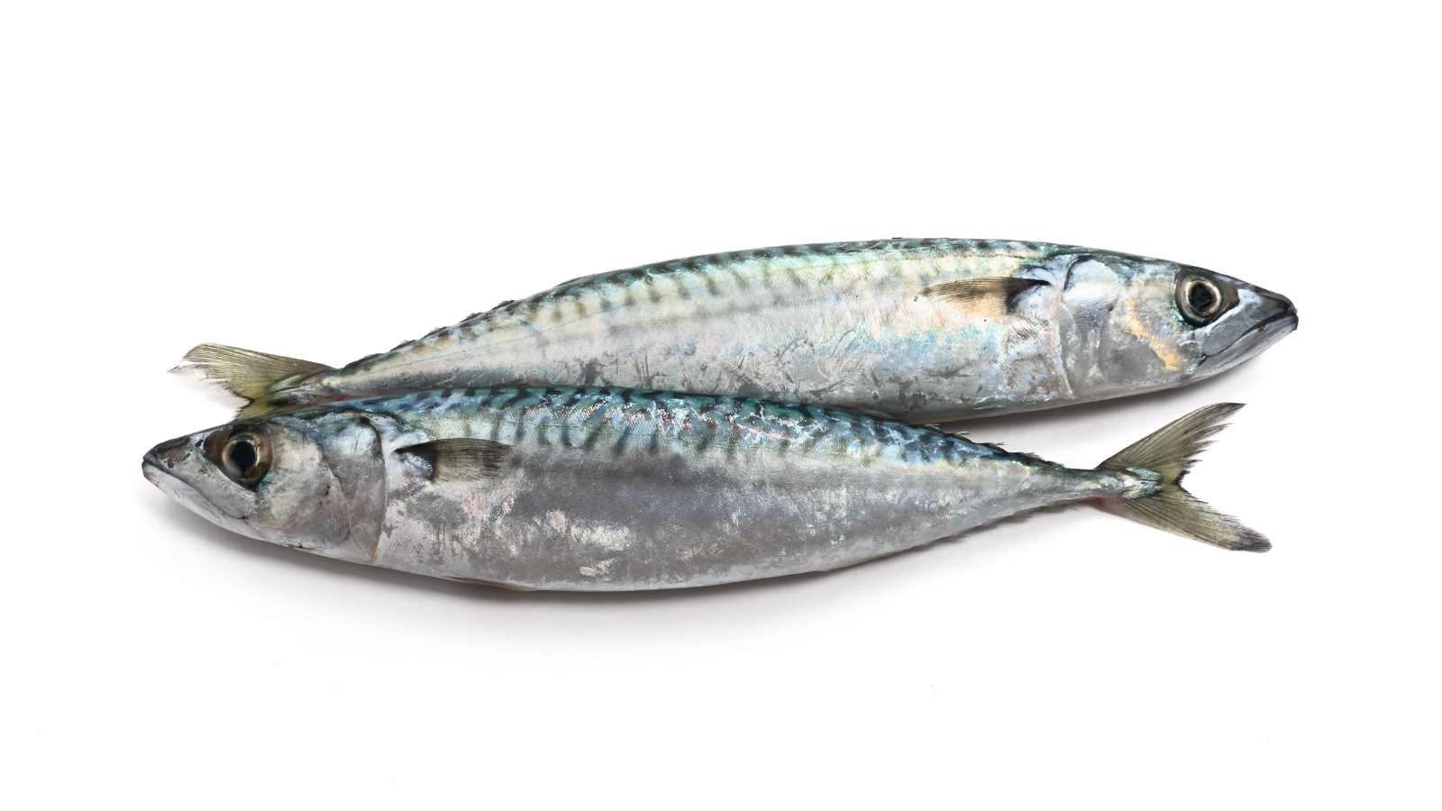 Essential Foods You Should Prioritize After Turning 60 for Healthy Aging