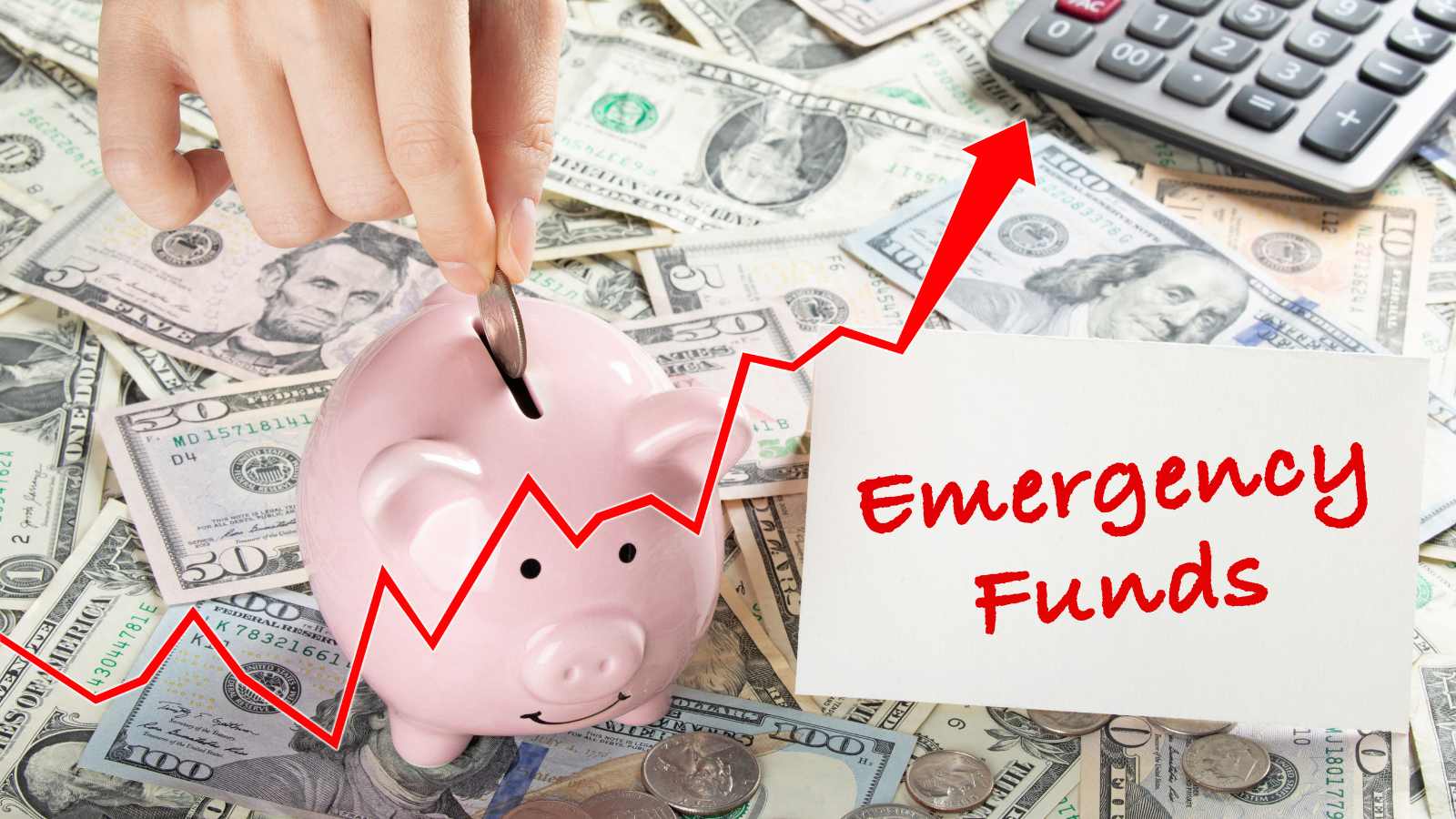 How to Stay Afloat When the Economy Collapses and Thrive