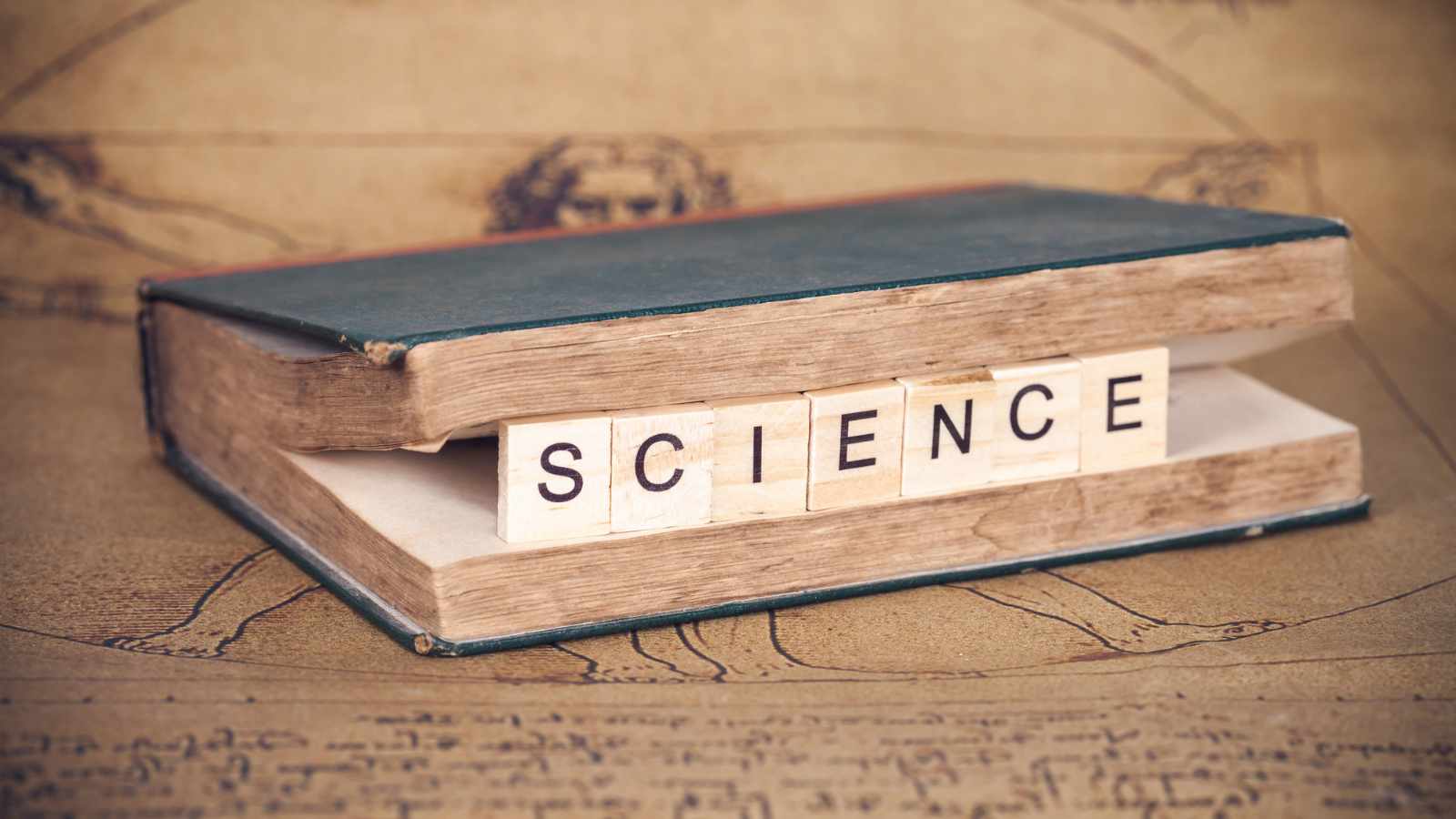 The Role of Christianity in Science and Education