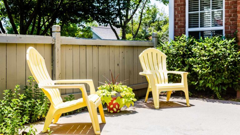 7 Things Now Banned From Your Backyard