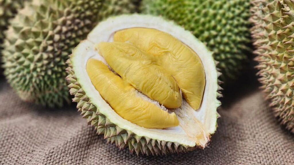 6 Most Utterly Disgusting Foods