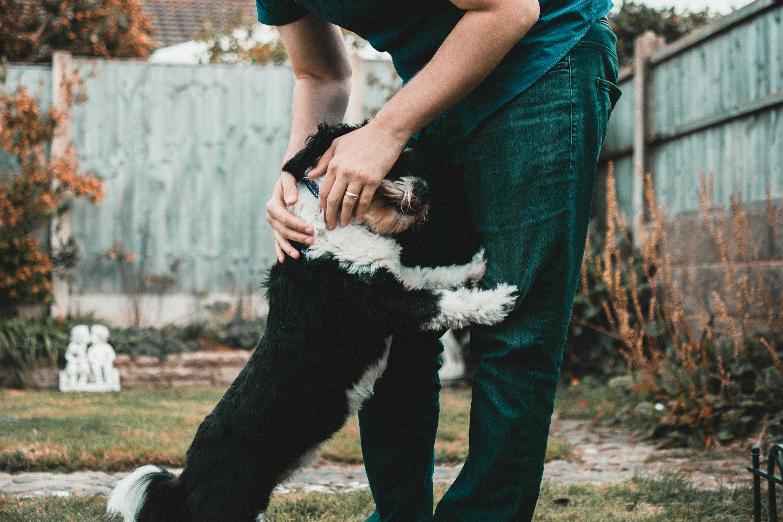 A sweet moment of companionship as a dog embraces a person in an outdoor setting.