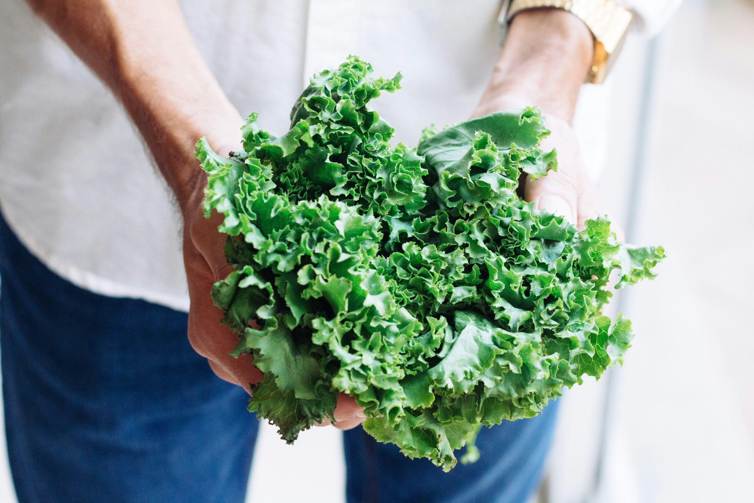 Best Types of Lettuce You Should Be Eating for Every Meal