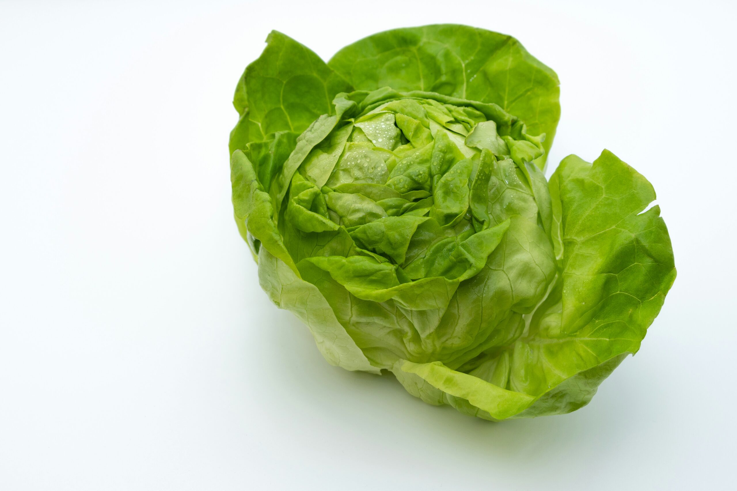 7 Best Types of Lettuce You Should Be Eating for Every Meal