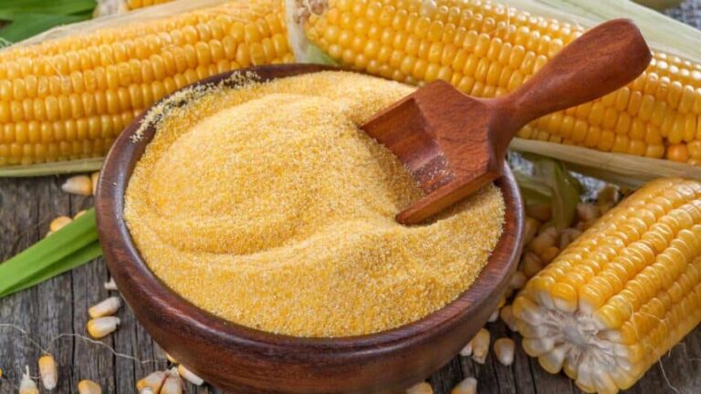 Food Early Pioneers Ate to Survive the Wild West