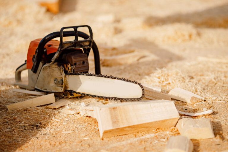 10 Extraordinary Uses for a Chainsaw You Won’t Believe