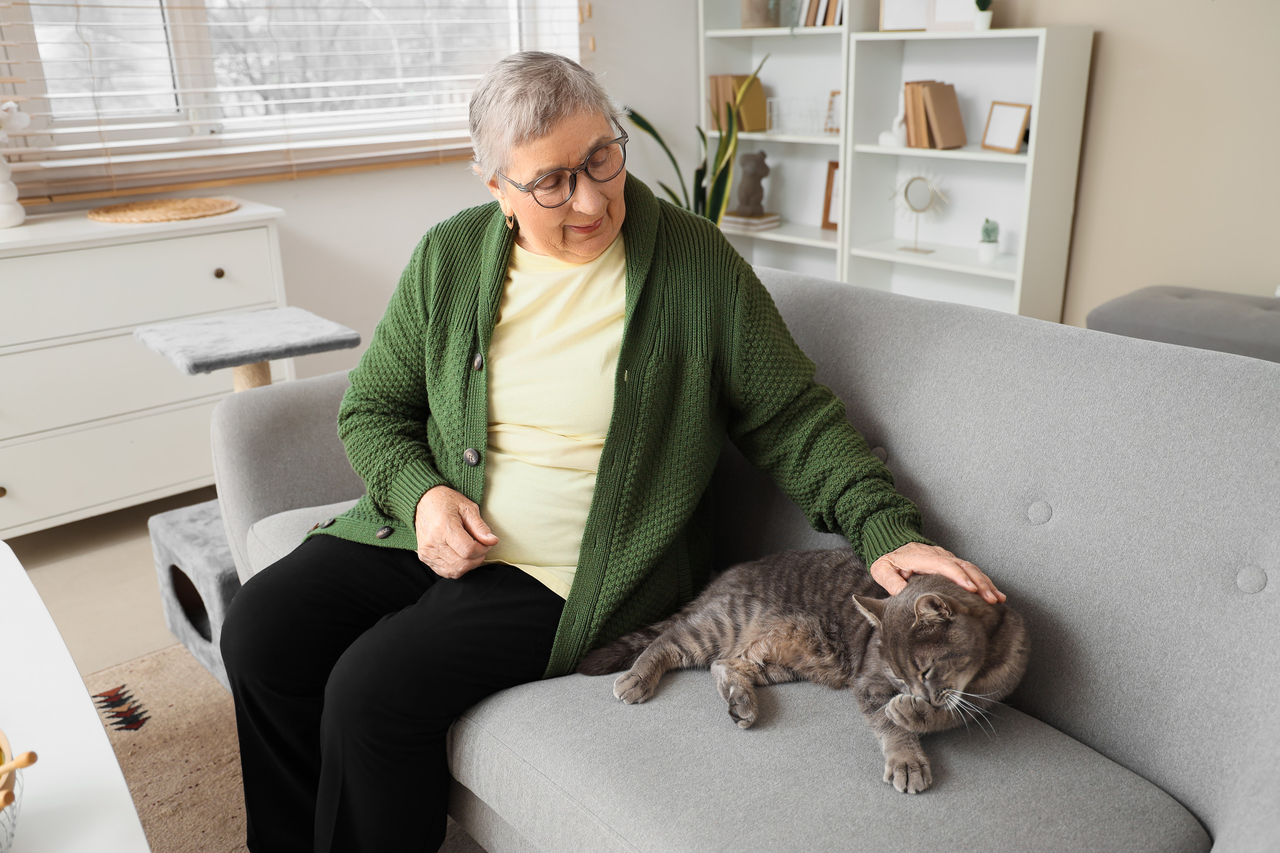6 Reasons Why Cats Are the Perfect Companions for Seniors