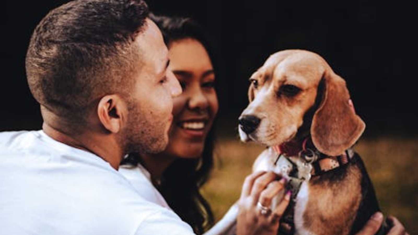 You are likely a dog magnet if you possess these 7 unique qualities