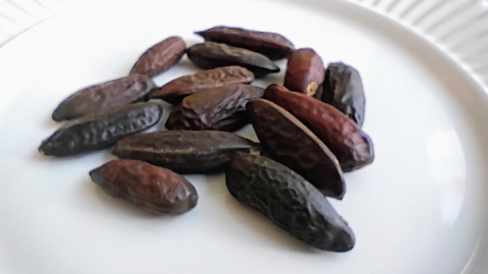 International Dishes You Can’t Get Legally in the U.S.