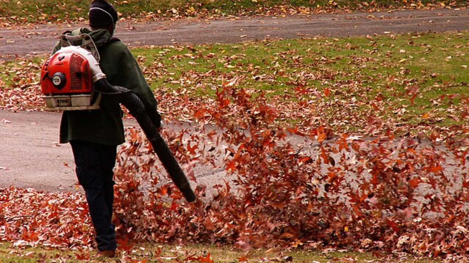 backyard tools that might soon be illegal