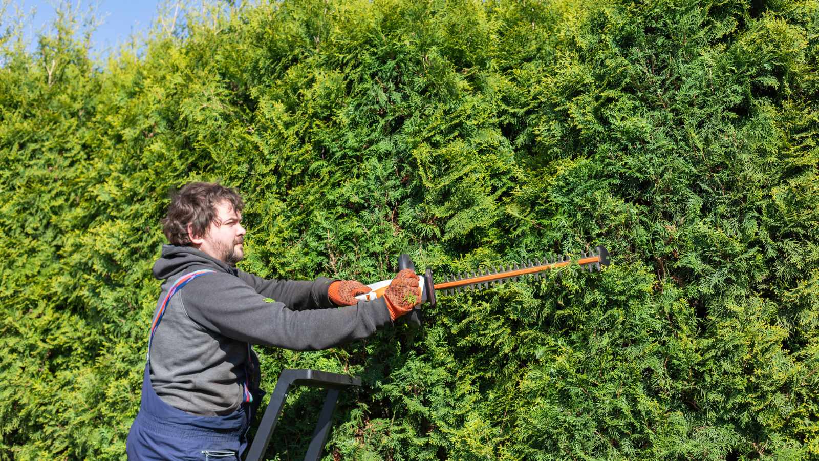 Hedge Trimmers