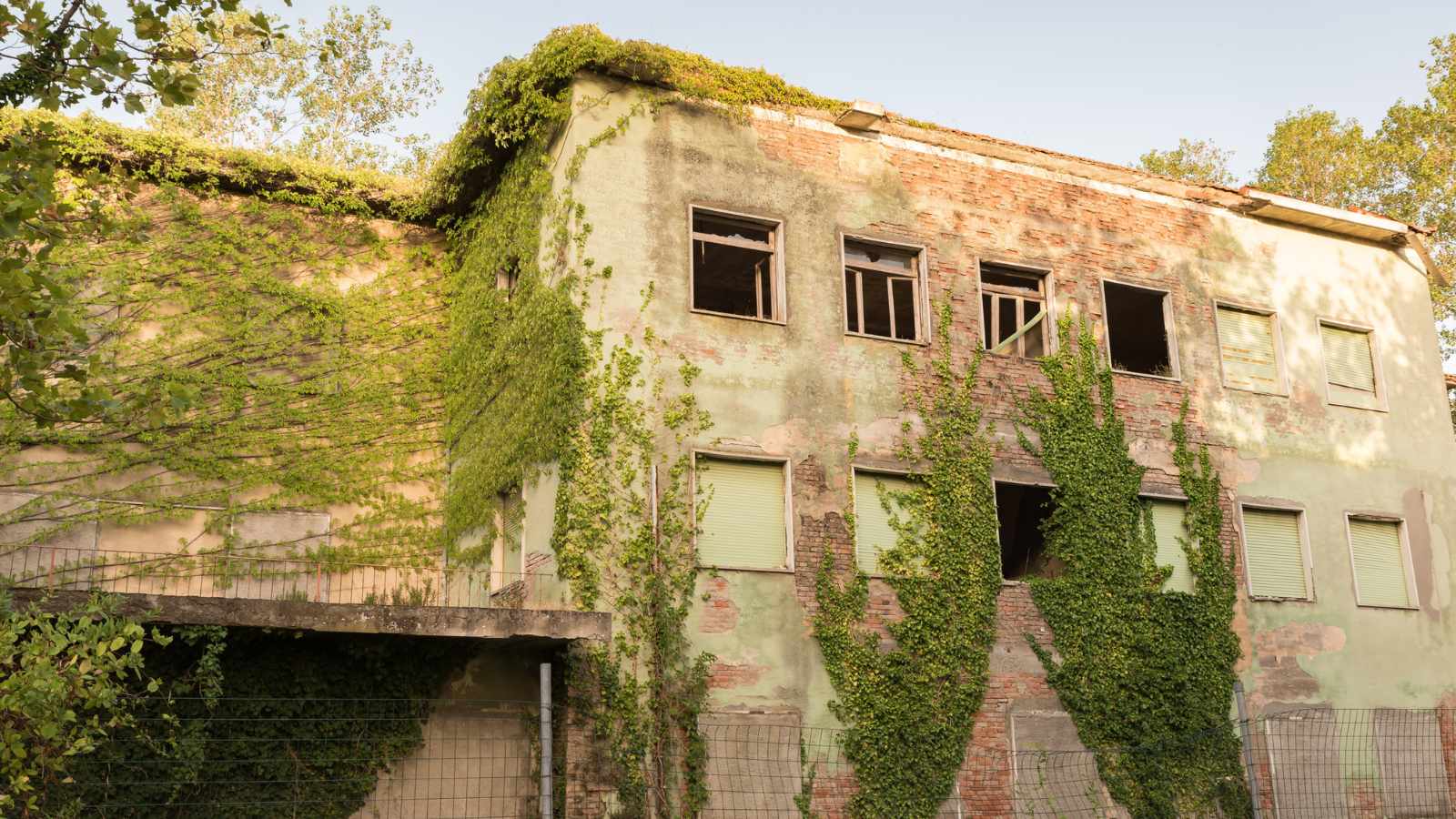 Nature Reclaims Urban Spaces