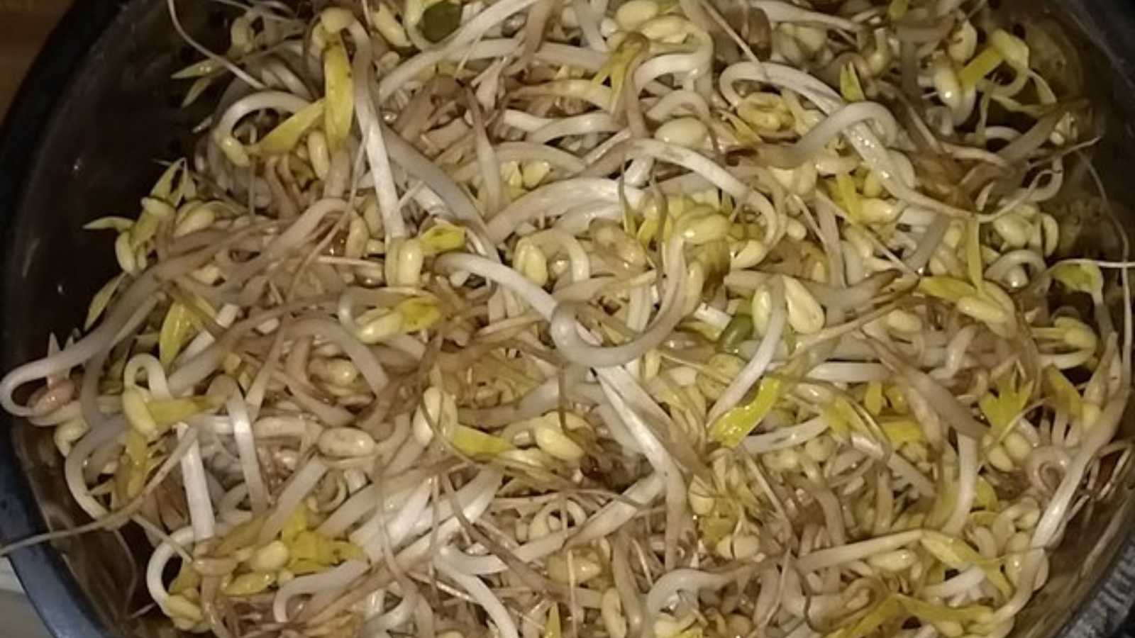 Stop adding these foods to your plate at any Chinese buffet