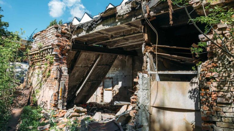 8 Truths About Life Following a Complete Societal Collapse