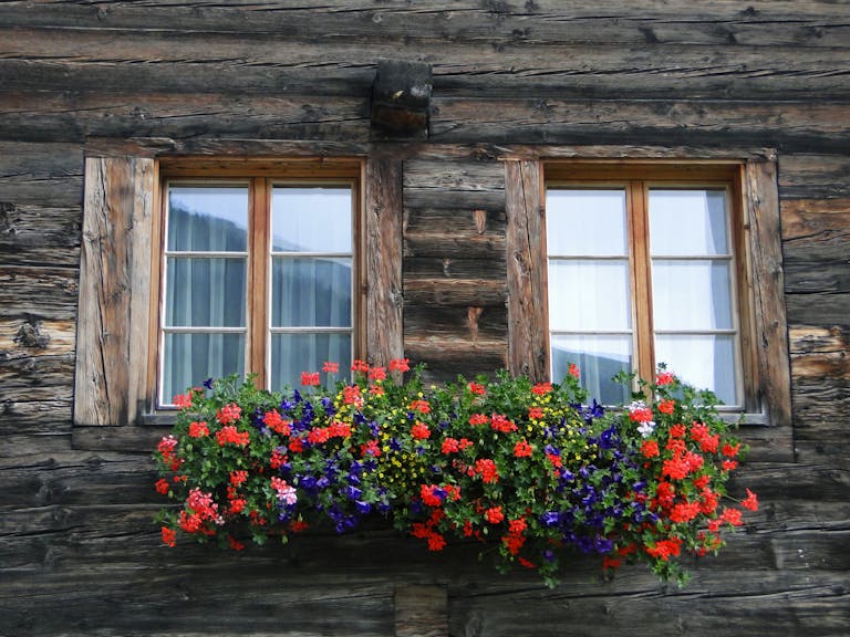 How to Build DIY Window Flower Boxes in 5 Simple Steps