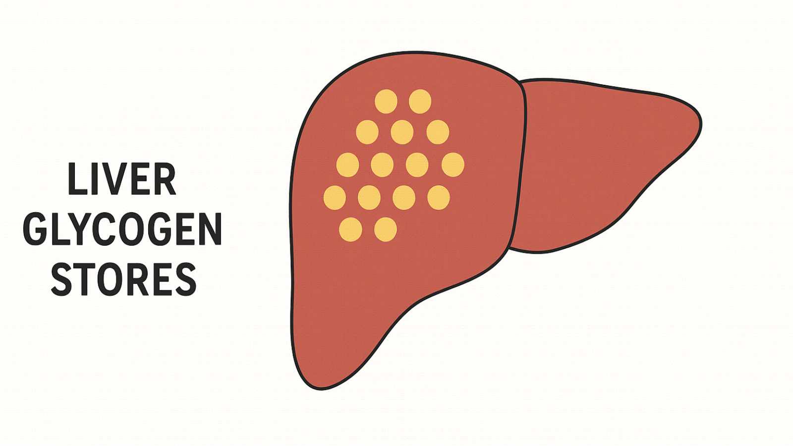 7 Ways Your Body Reacts to a Full Day Without Food