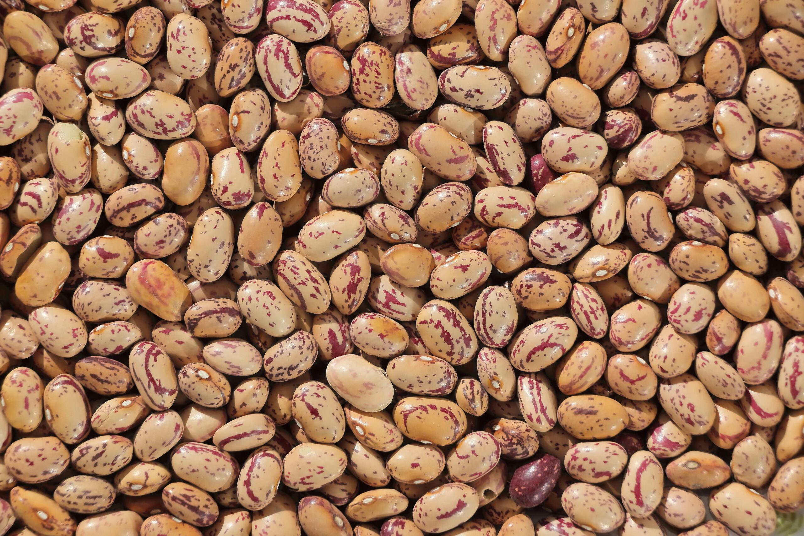 6 Superfoods to Supercharge Your Energy