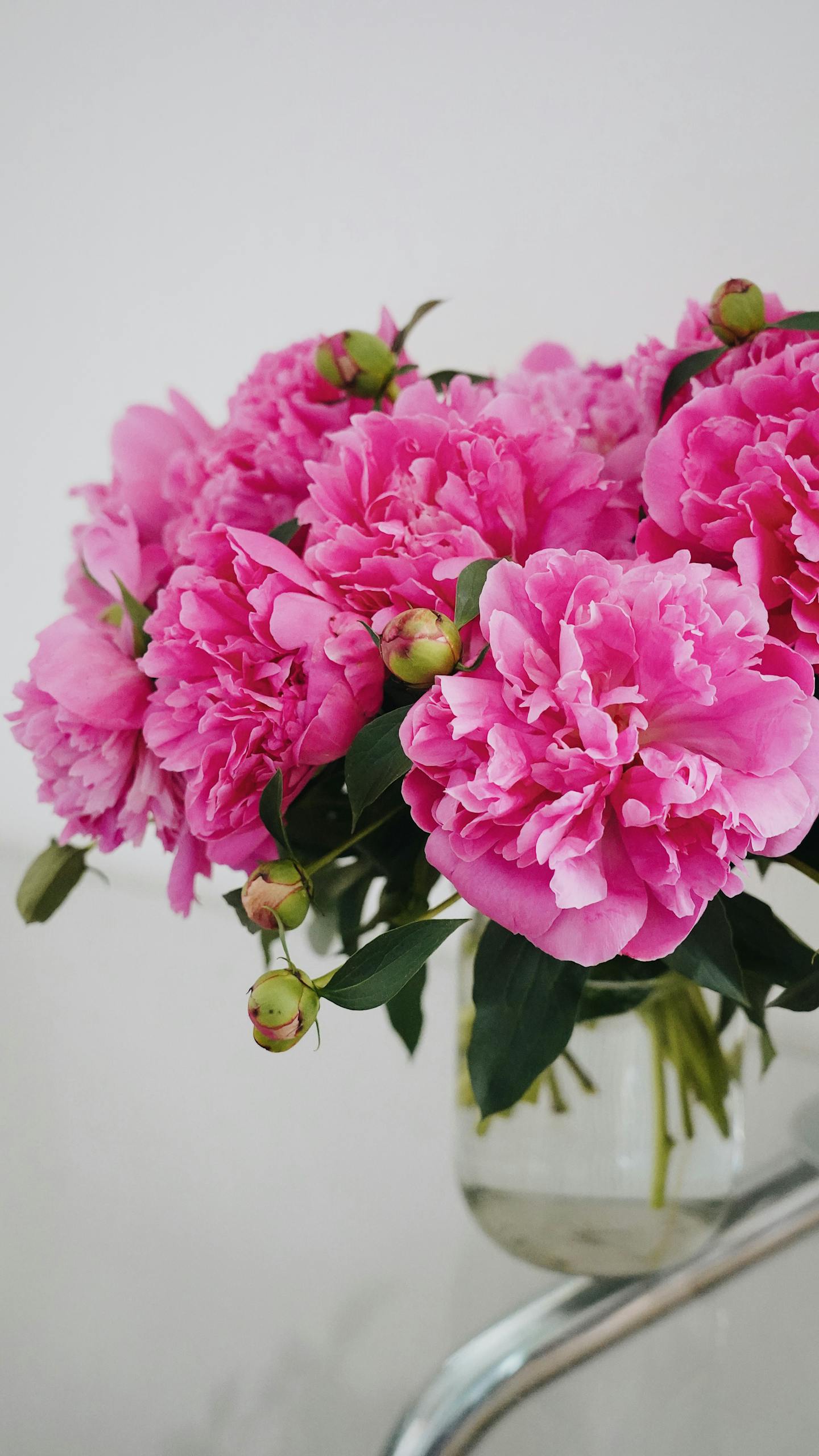 A beautiful bouquet of pink peonies in full bloom, elegantly arranged in a glass vase.