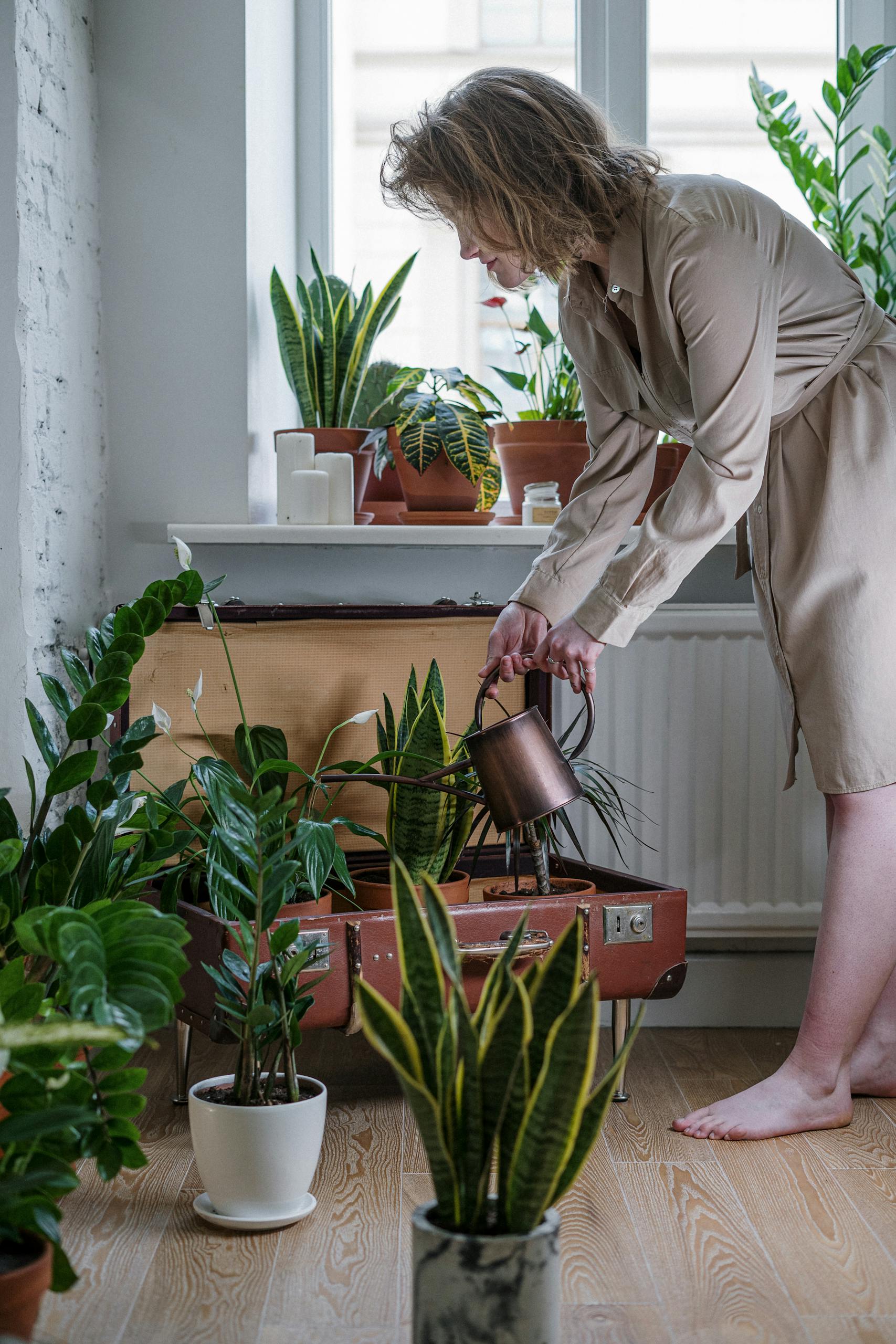 A woman watering houseplants inside a home near a window, creating a serene gardening ambiance.