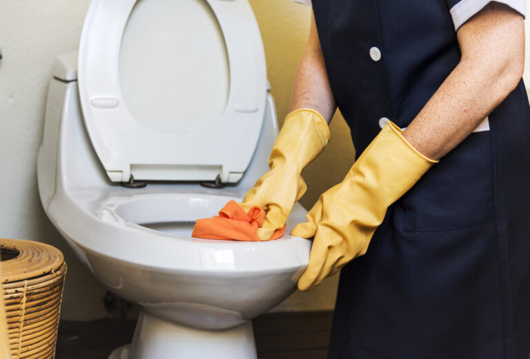 8 Important Toilet Cleaning Hacks: Transform Your Bathroom Routine