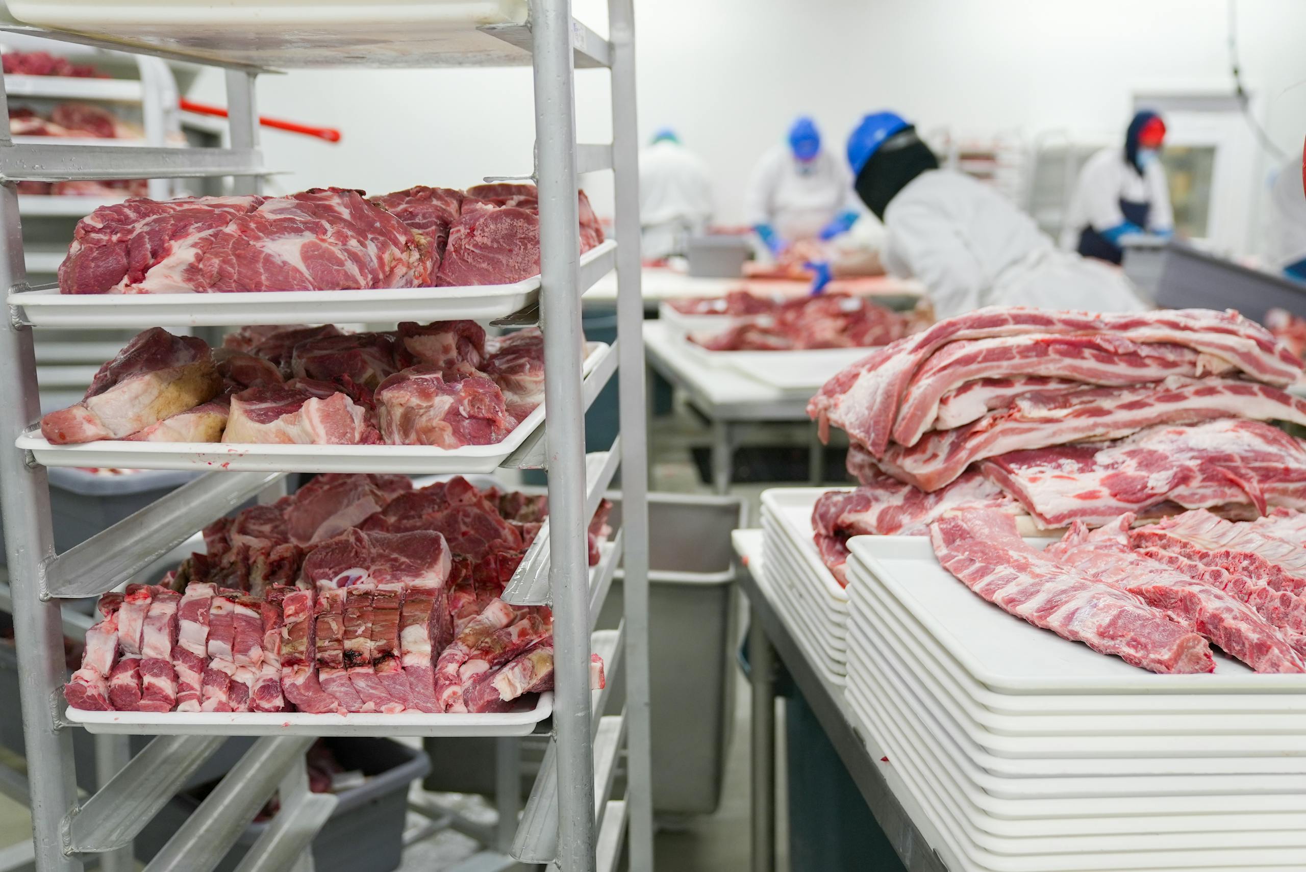 A meat processing facility with workers handling meat cuts on trays, demonstrating industrial food production.