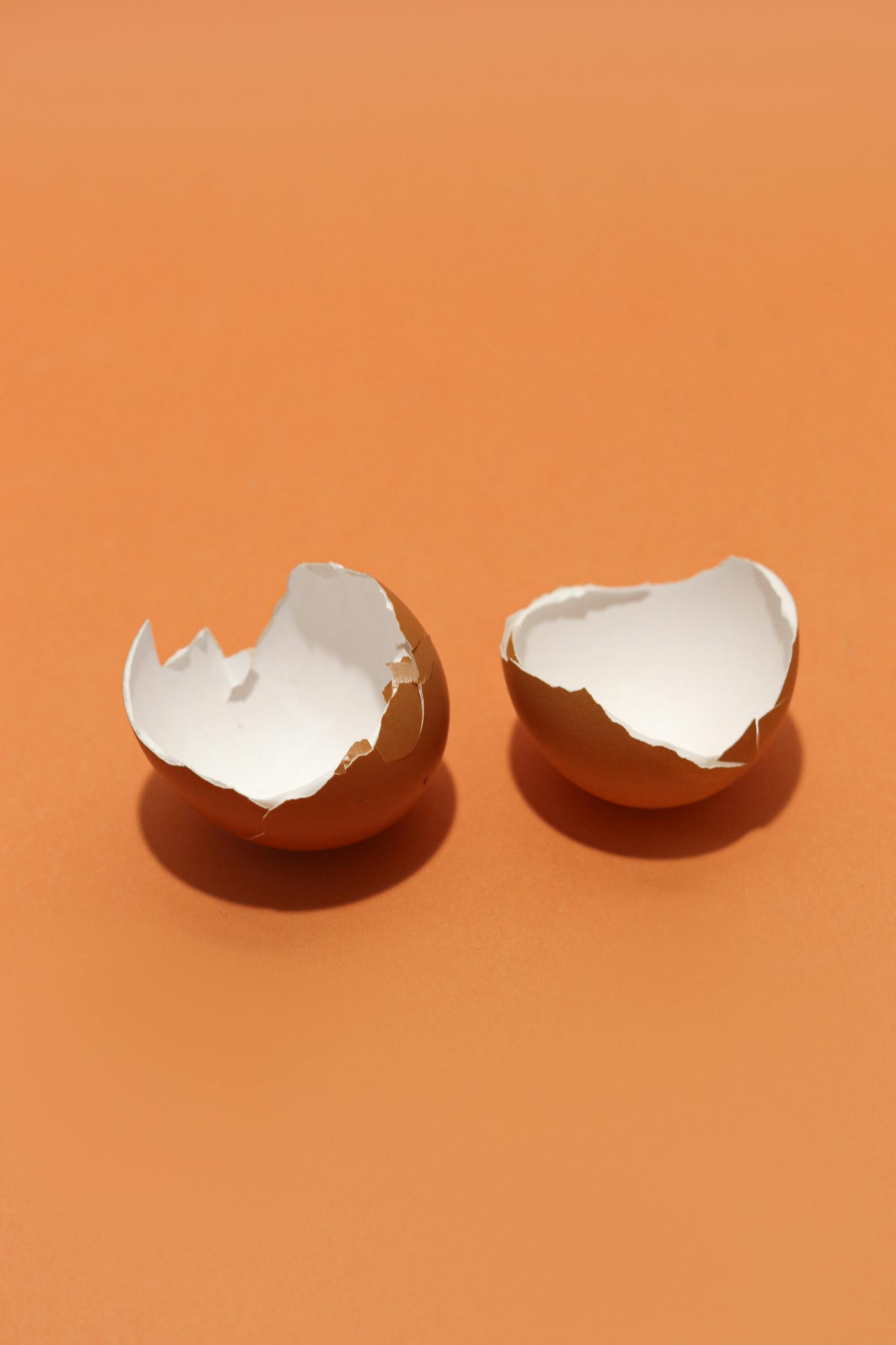 Close-up of two broken eggshells on a bright orange backdrop.