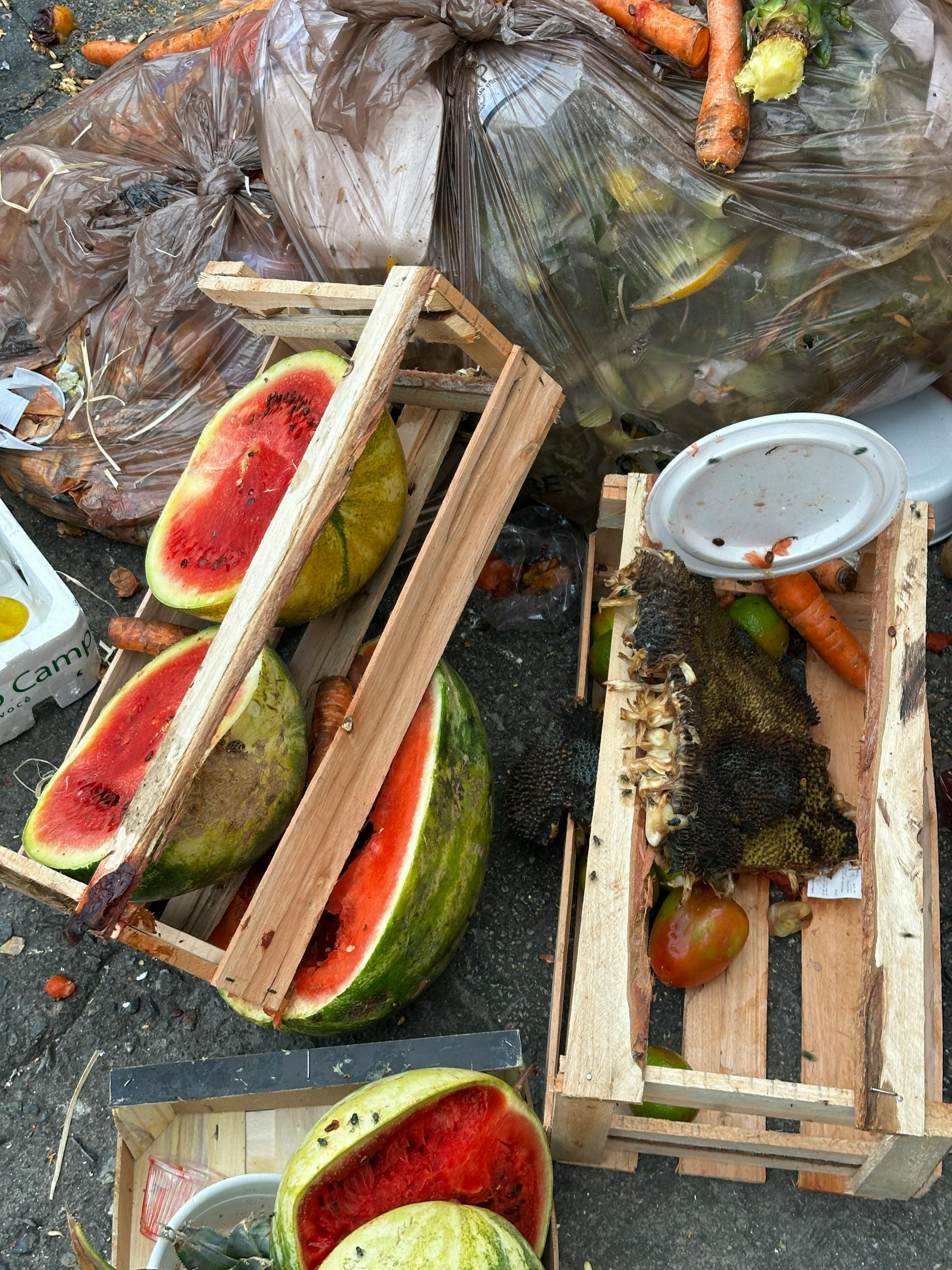Rotting watermelons and assorted food waste in outdoor crates and bags.