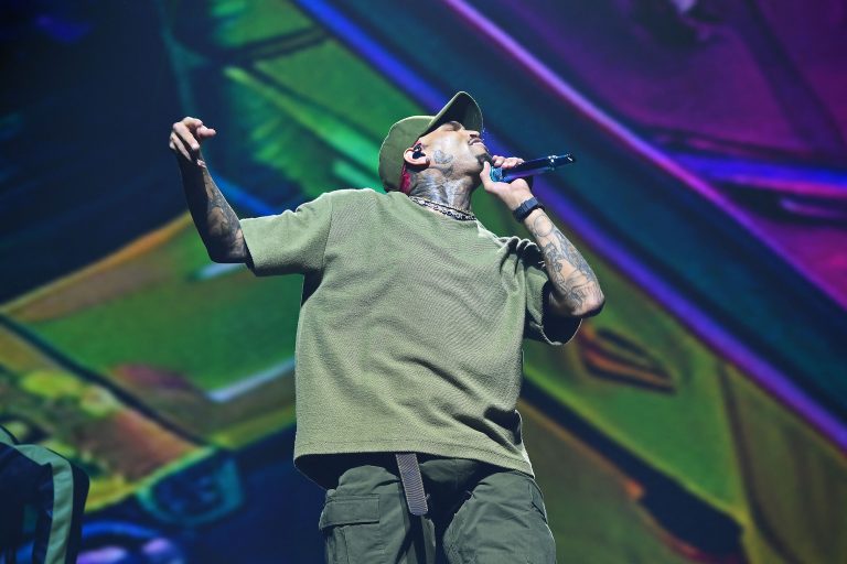 In One Month, Chris Brown turned 37, Got Destroyed by Pitchfork, had a Stalker, and Somehow Came Out with a PhD
