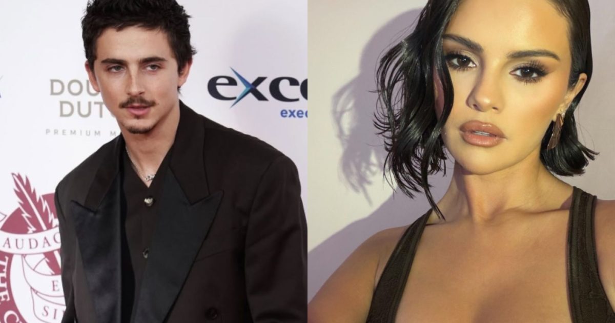 Timothée Chalamet and Selena Gomez Are Reuniting for Illumination’s New Animated Film Not Alone… and the Plot Is Delightfully Weird