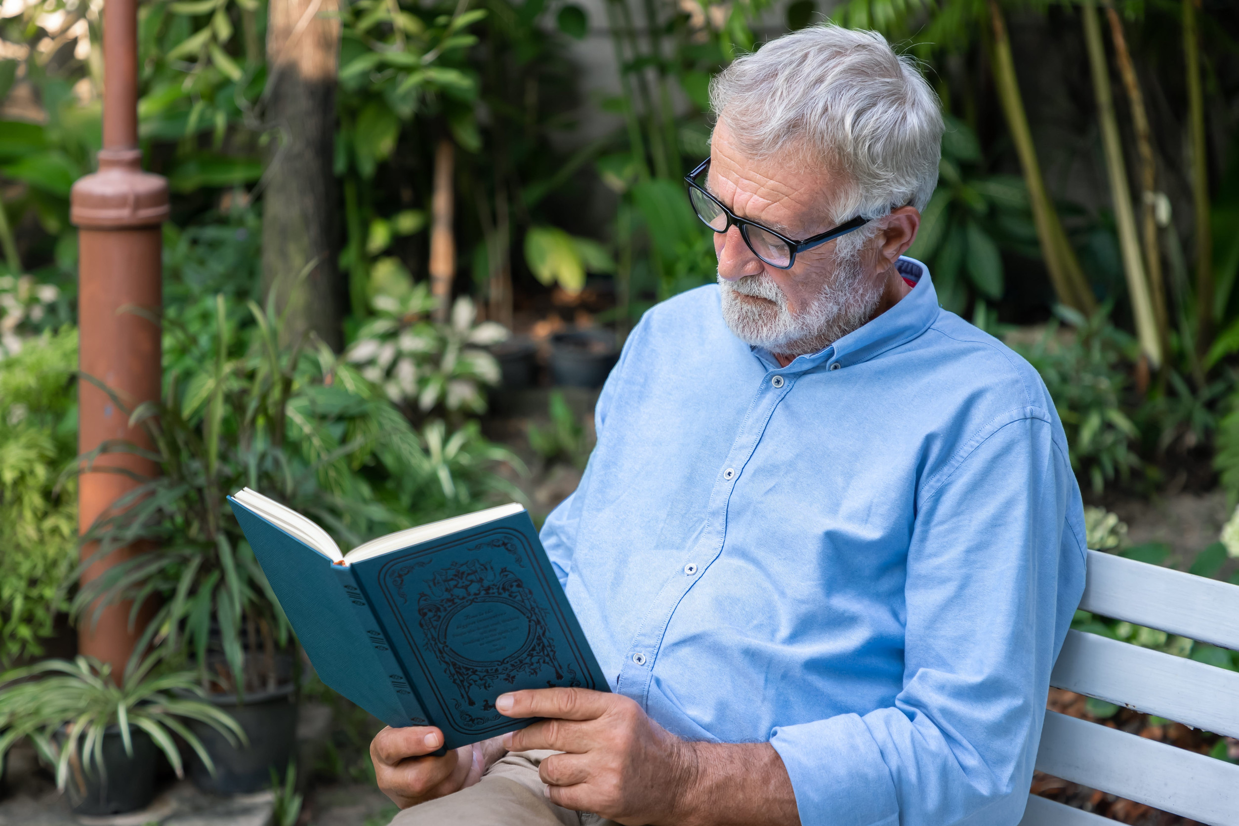 Senior elderly man reading book in garden