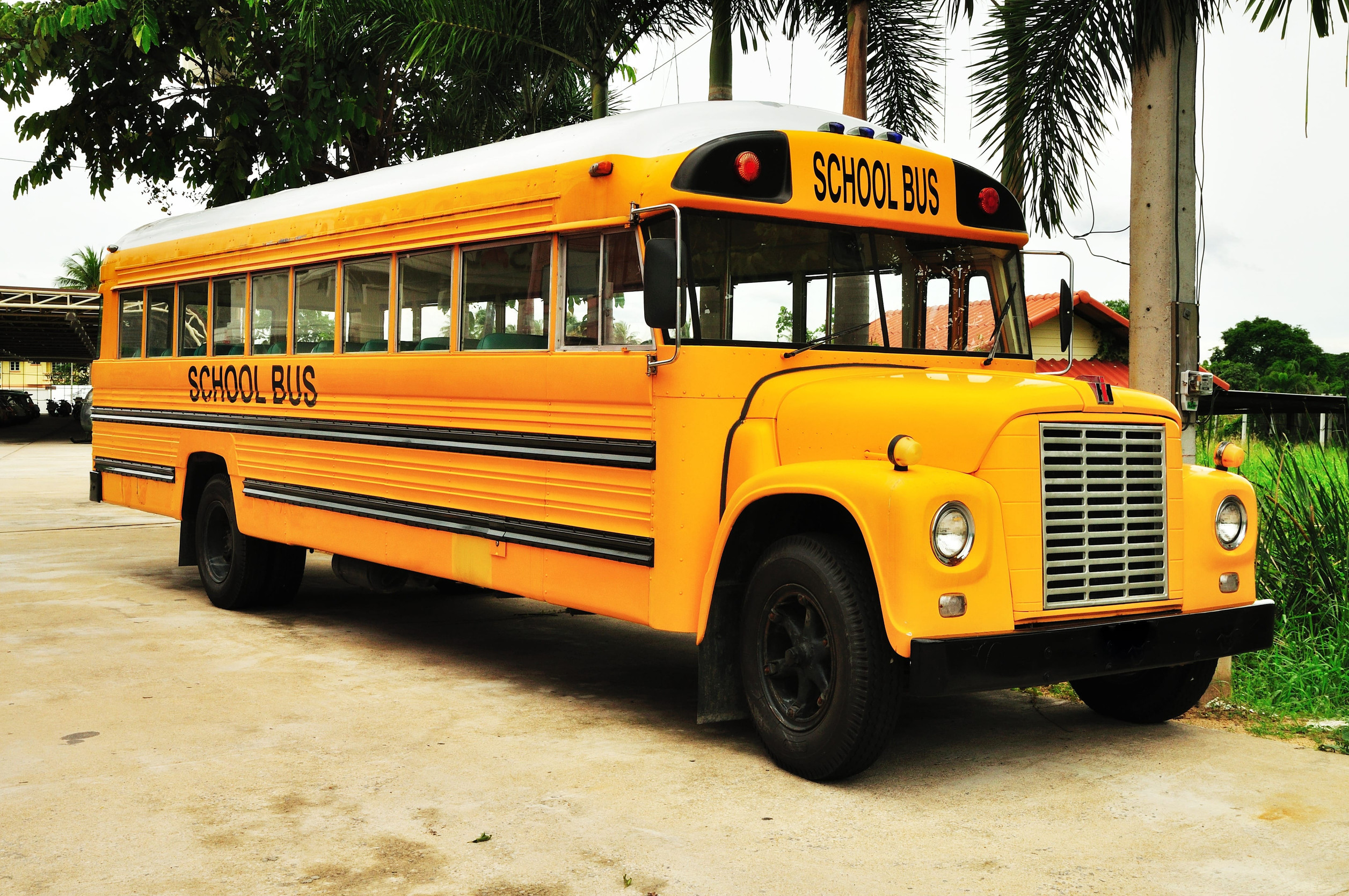 Yellow school bus