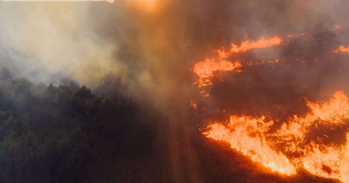 Canadian Wildfire Smoke Blankets U.S. as Trump Threatens Tariffs Over Ottawa’s Forest Management