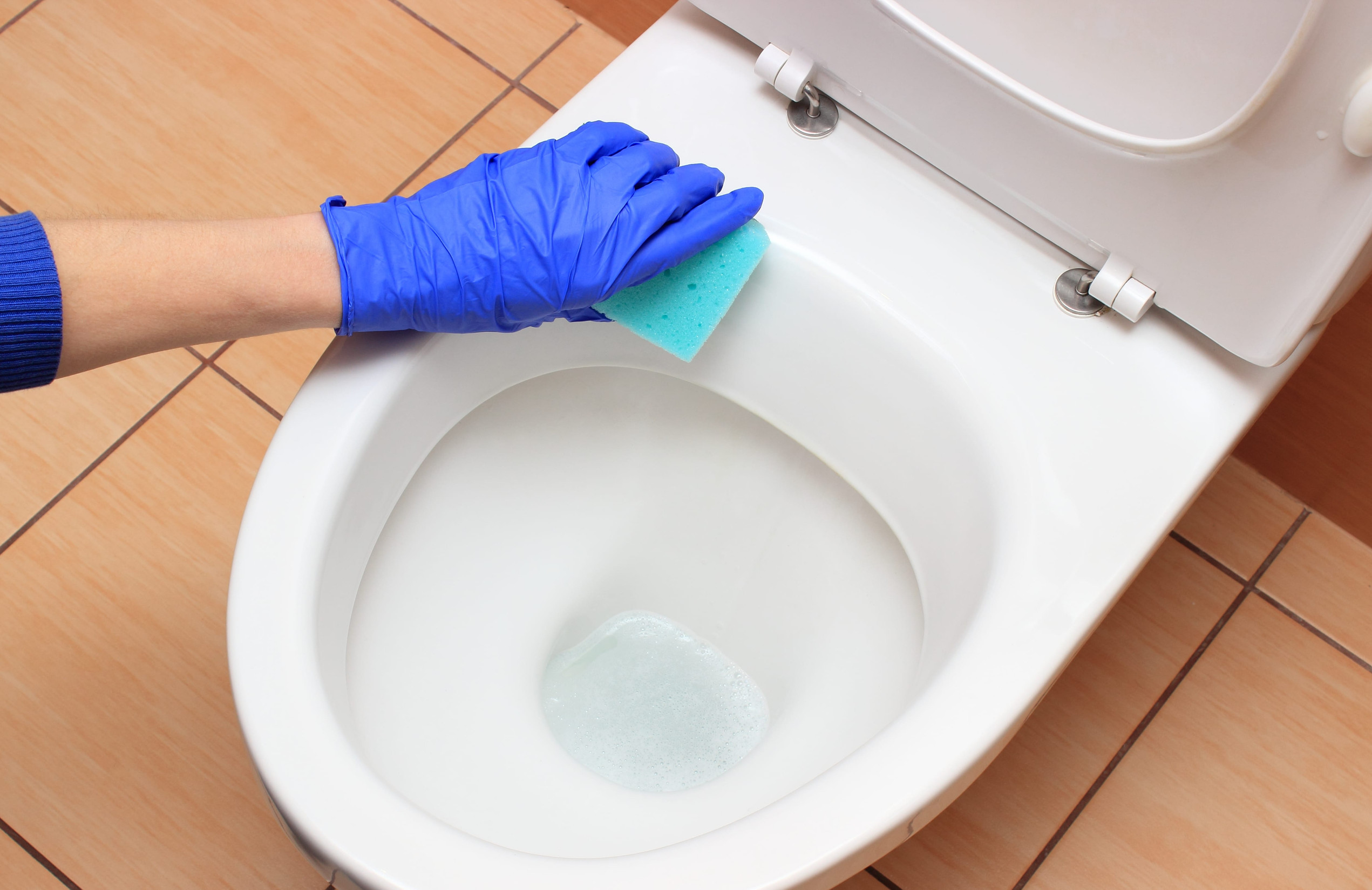 Hand of woman in blue glove cleaning toilet bowl, concept for house cleaning and household duties