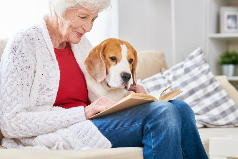 boomer with a dog reading relax