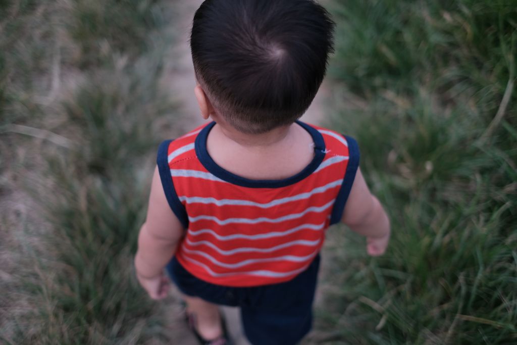 A child walks on grass from behind, wearing a red striped shirt.