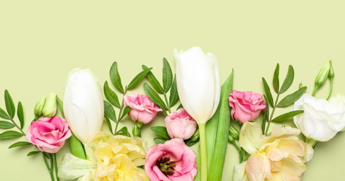 Stop Feeding Your Garden the Wrong Way: The Best Manures and Fertilizers to Grow Stronger Plants Without Damaging Your Soil
