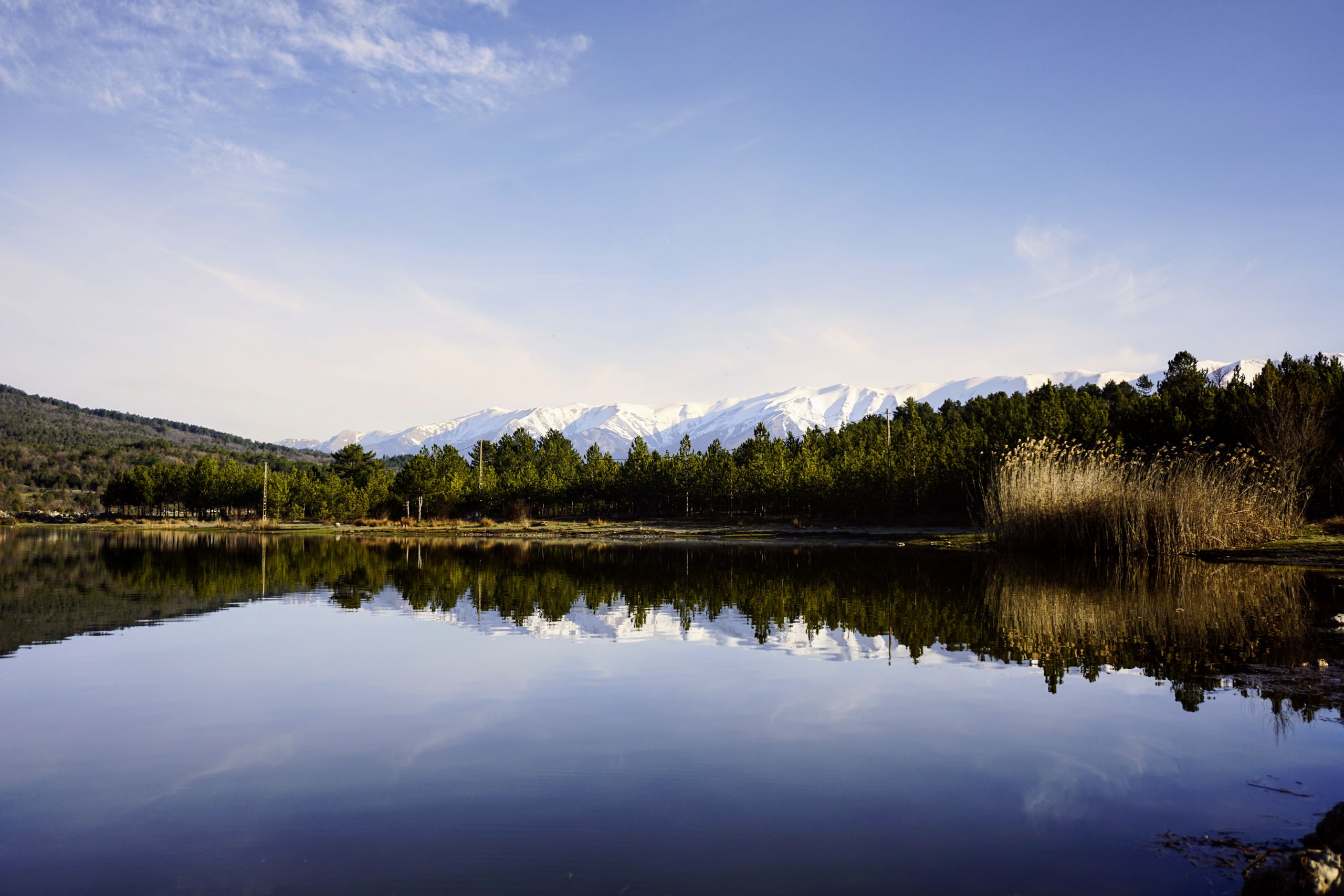 Peaceful lake reflecting mountains and forest under a clear sky.
