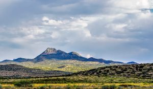 Some of the beautiful scenery on our road trip from Florida to California.