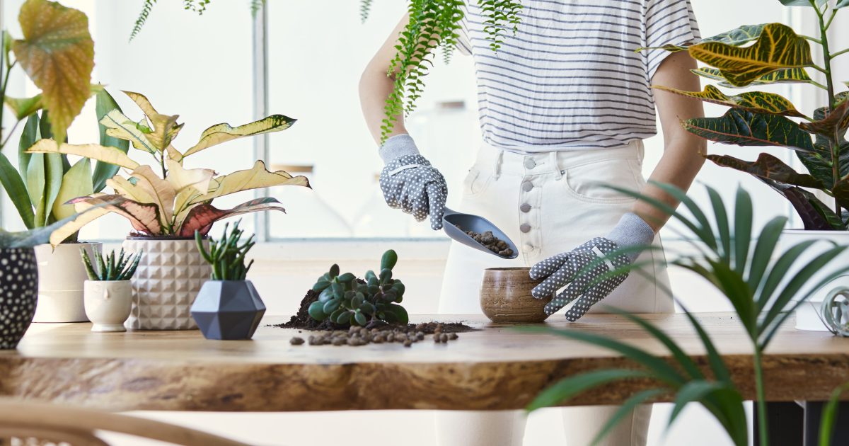 7 Gardening Myths That Might Be Hurting Your Plants (And What to Do Instead)