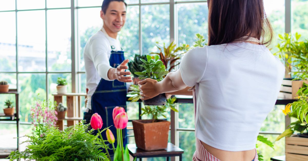 Low-Maintenance Plants for Busy Lifestyles