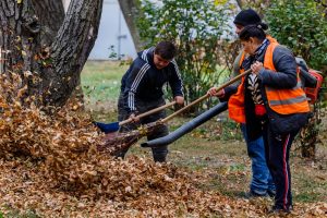 Uzhhgorod, Ukraine - November 2, 2021: Workers clear fallen leaves from the yard on an autumn day.
