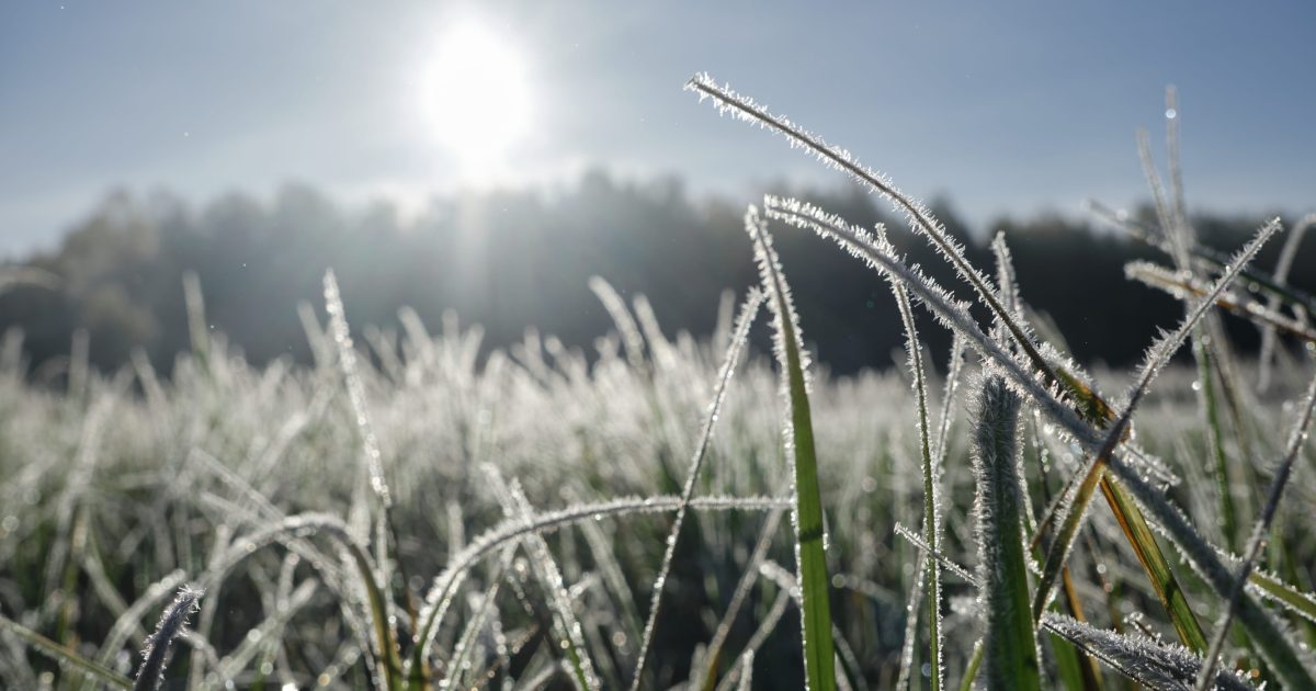 9 Things to Do Around the House Before the First Frost