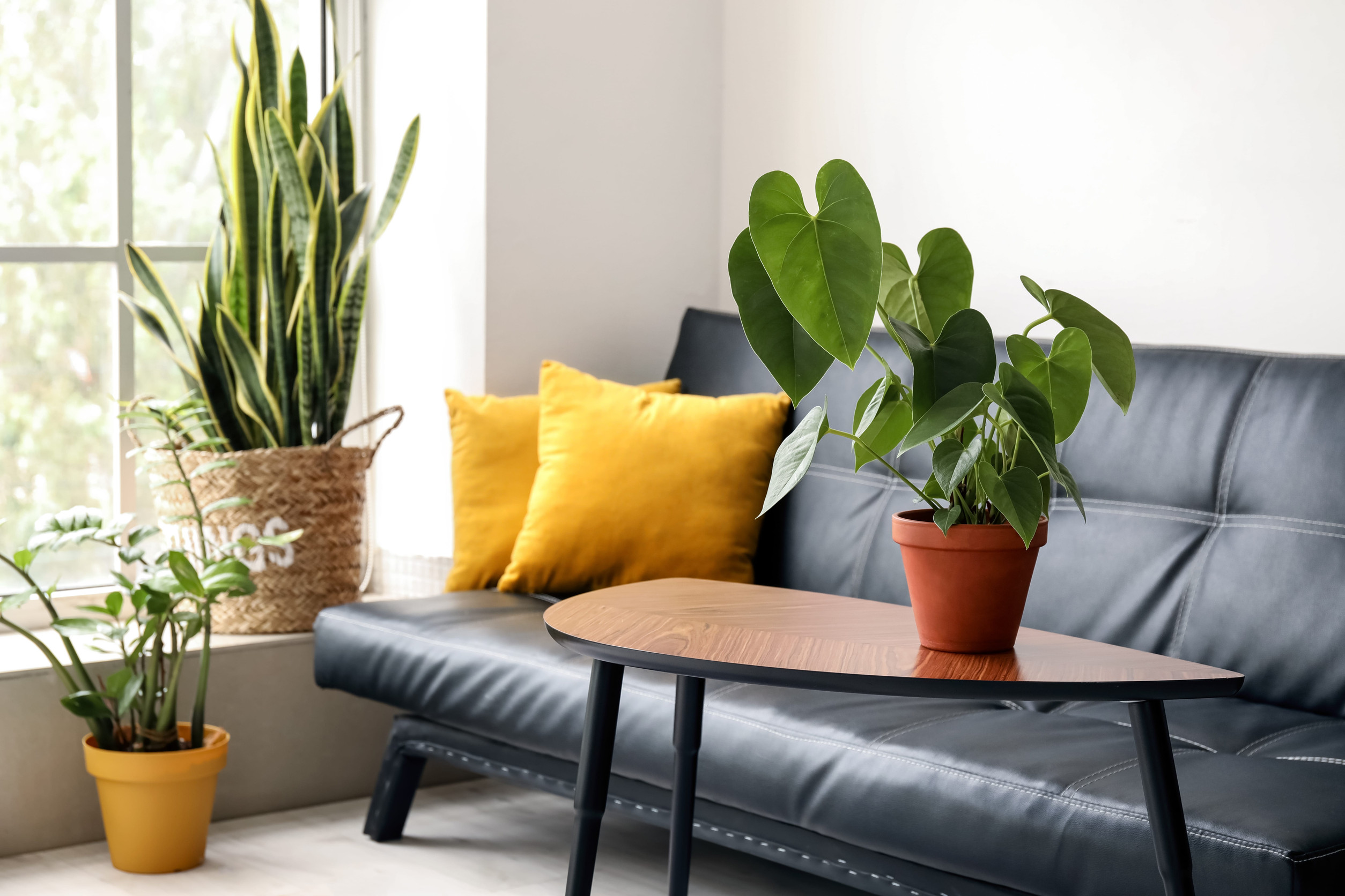 Fresh Flowers or Greenery